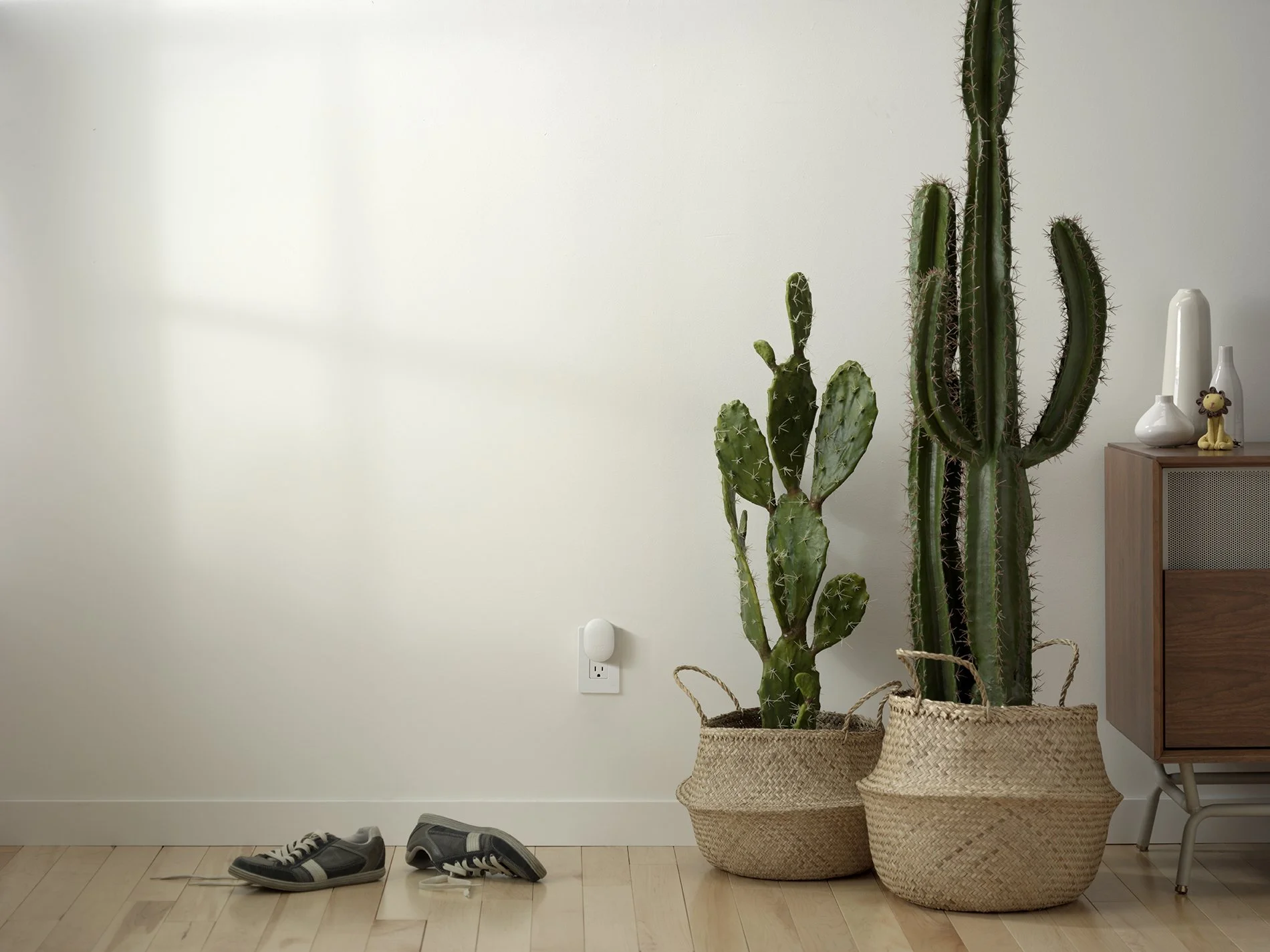 image_ANTIGUA_cactus_FPNA_v7 copie.jpg