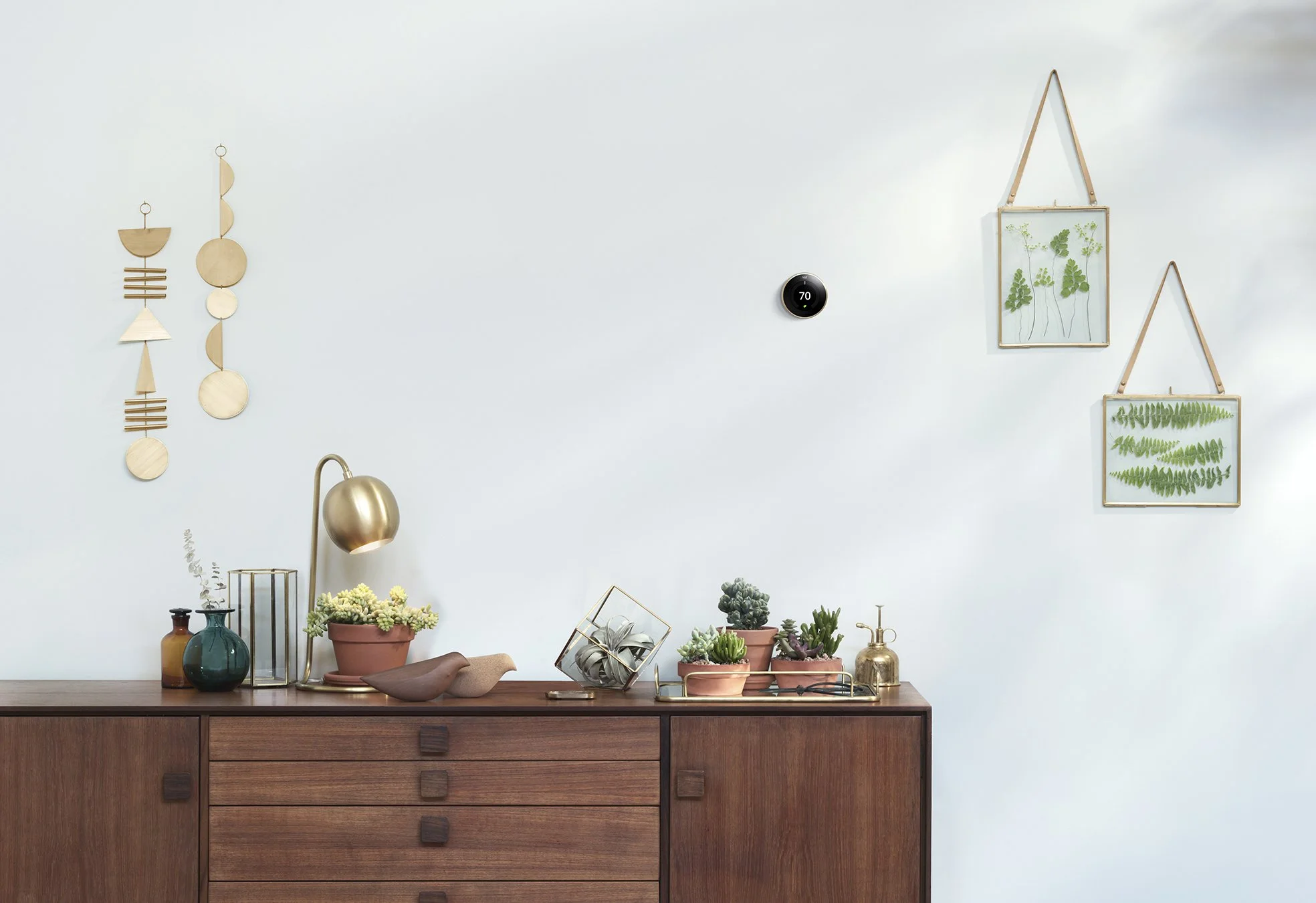 image_NLT3_Lifestyle_Succulents_Brass-001_v6.jpg