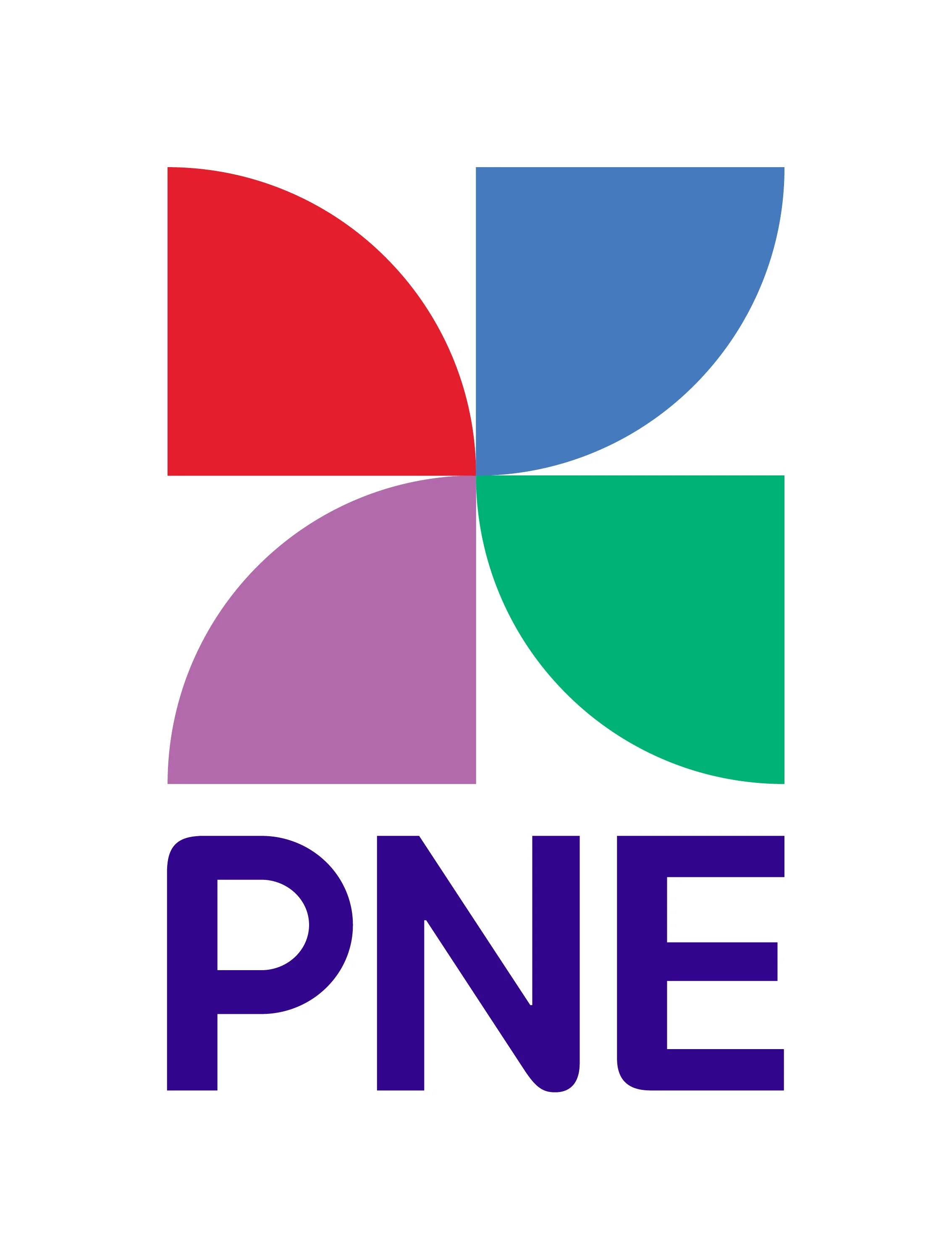 PNE_Pinwheel Logo_stacked_RGB (2).jpg