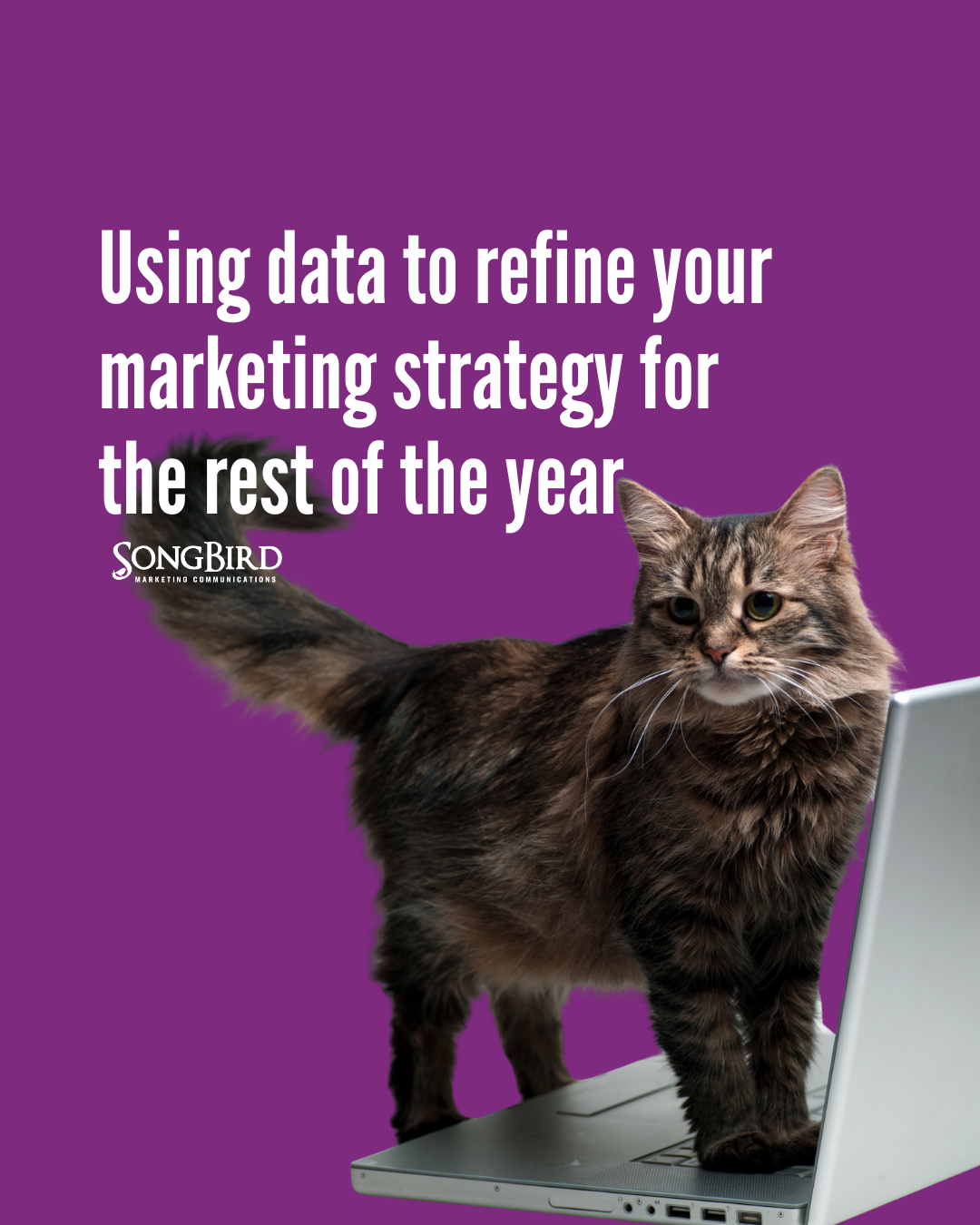 Using data to refine your marketing strategy for the rest of the year
