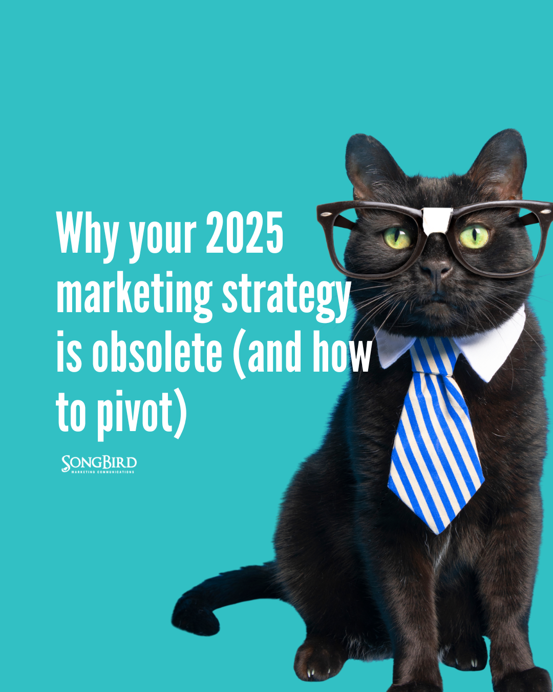 Why your 2025 marketing strategy is obsolete (and how to pivot)