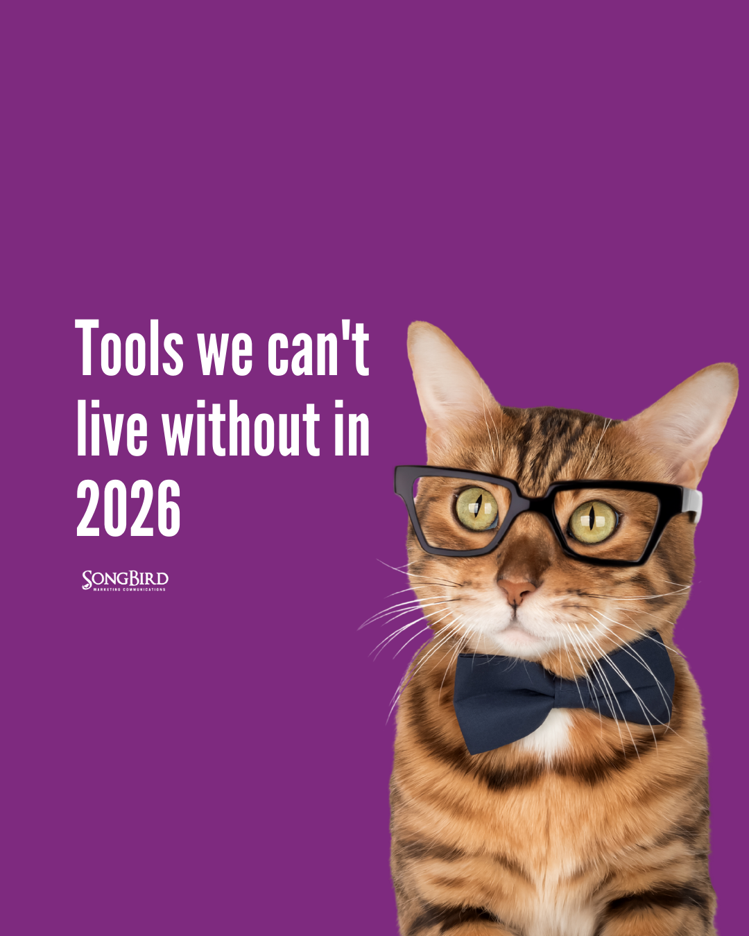 Tools we can't live without in 2026