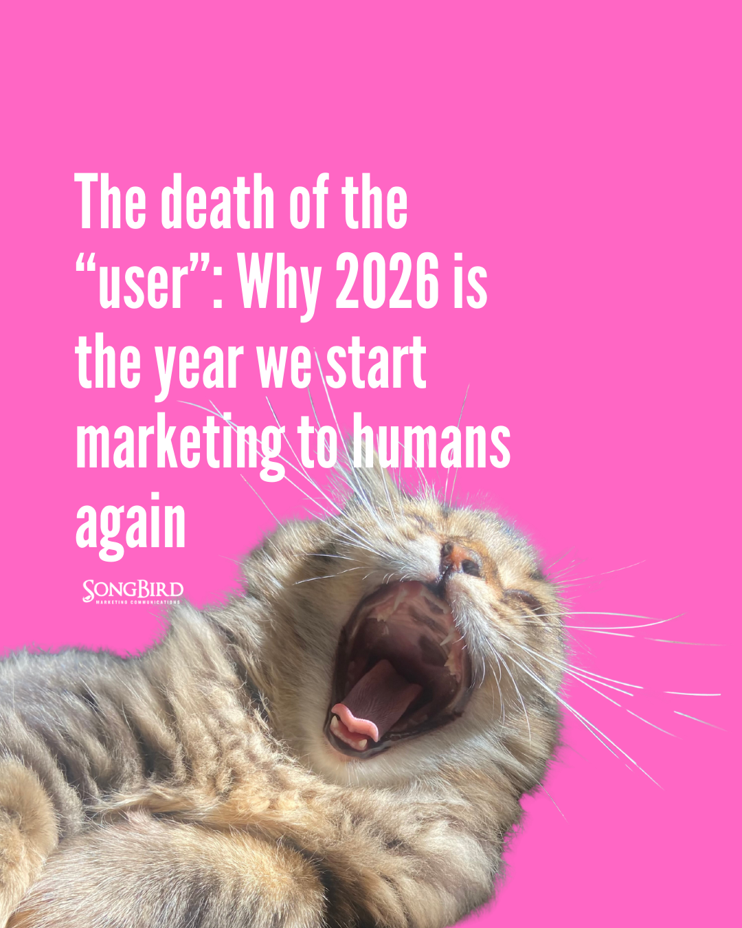 The death of the “user”: Why 2026 is the year we start marketing to humans again