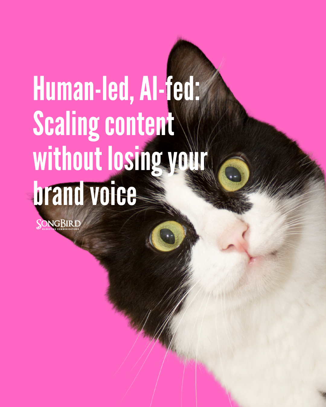 Human-led, AI-fed: Scaling content without losing your brand voice