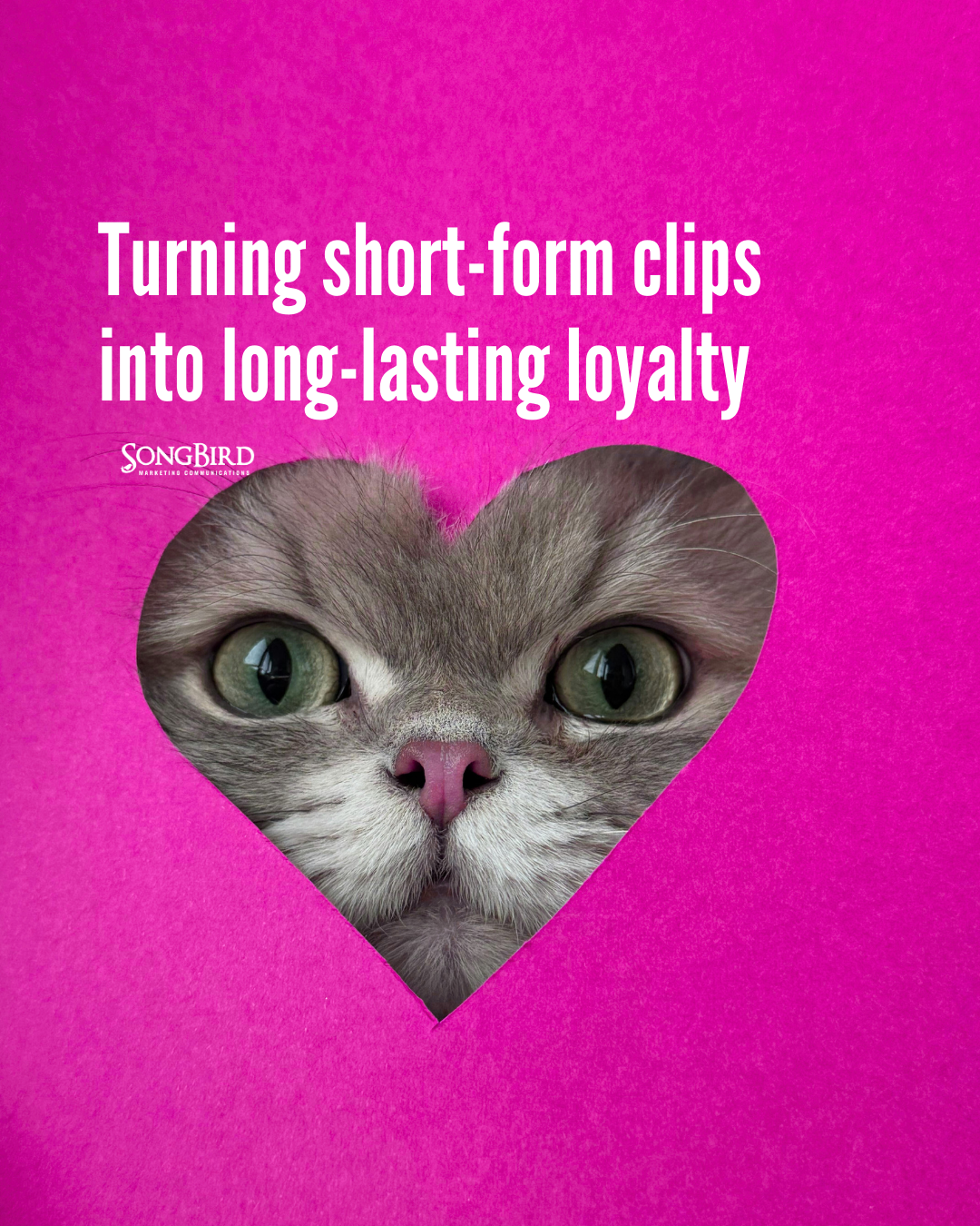 Video-first marketing: Turning short-form clips into long-lasting loyalty