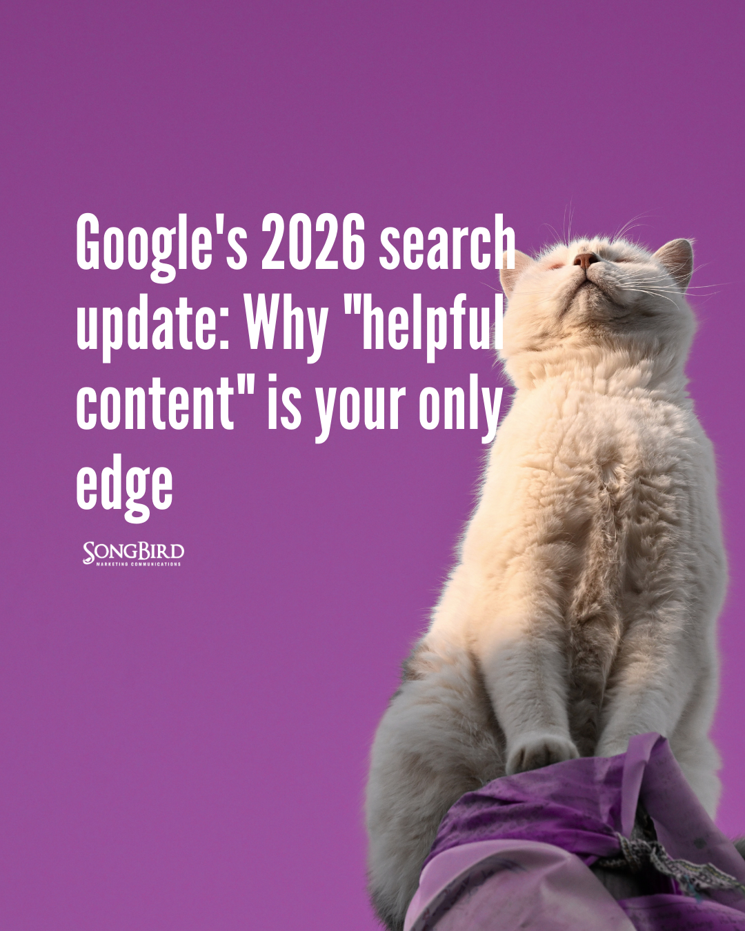 Google's 2026 search update: Why "helpful content" is your only edge