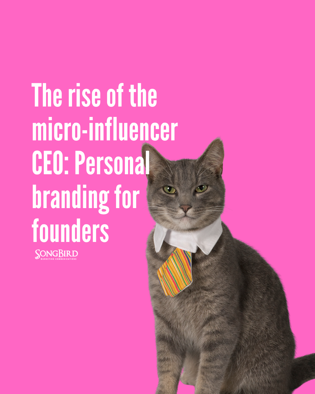 The rise of the micro-influencer CEO: Personal branding for founders