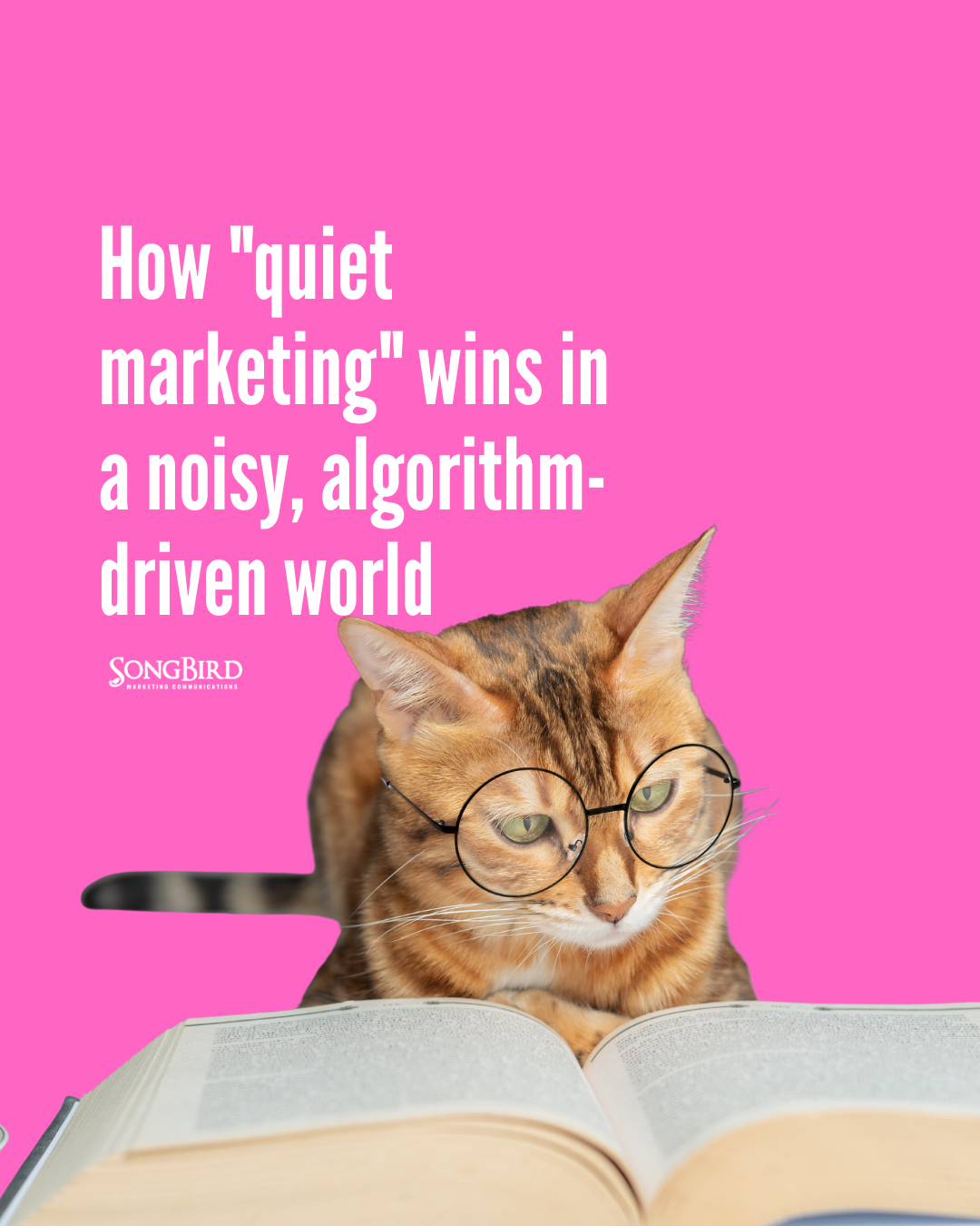 Digital de-escalation: How "quiet marketing" wins in a noisy, algorithm-driven world