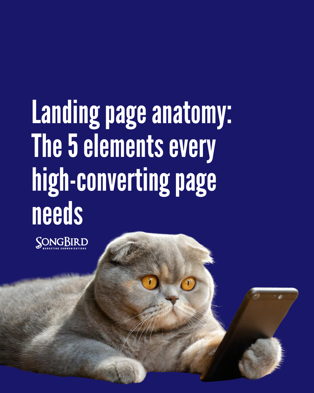 Landing page anatomy: The 5 elements every high-converting page needs