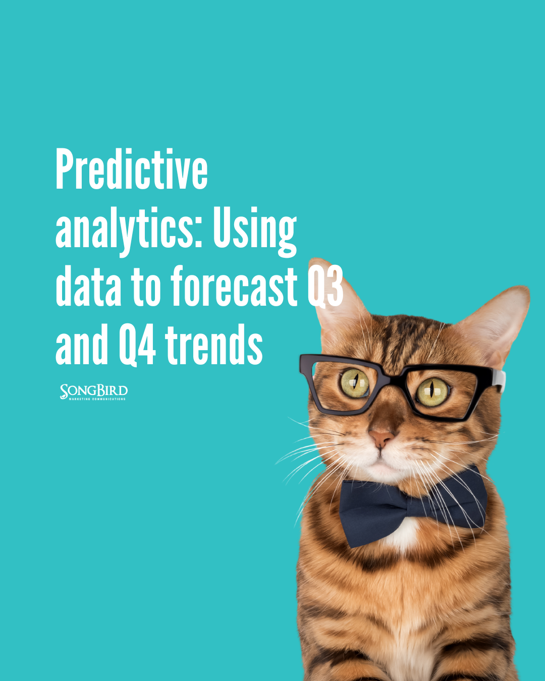 Predictive analytics: Using data to forecast Q3 and Q4 trends