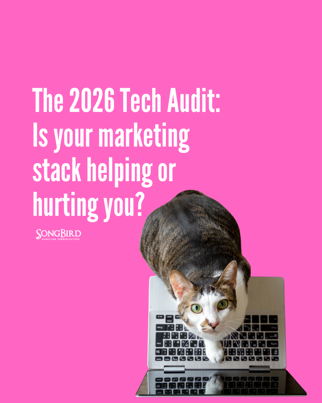 The 2026 Tech Audit: Is your marketing stack helping or hurting you?