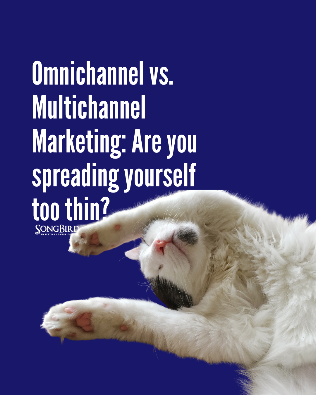 Omnichannel vs. Multichannel Marketing: Are you spreading yourself too thin?