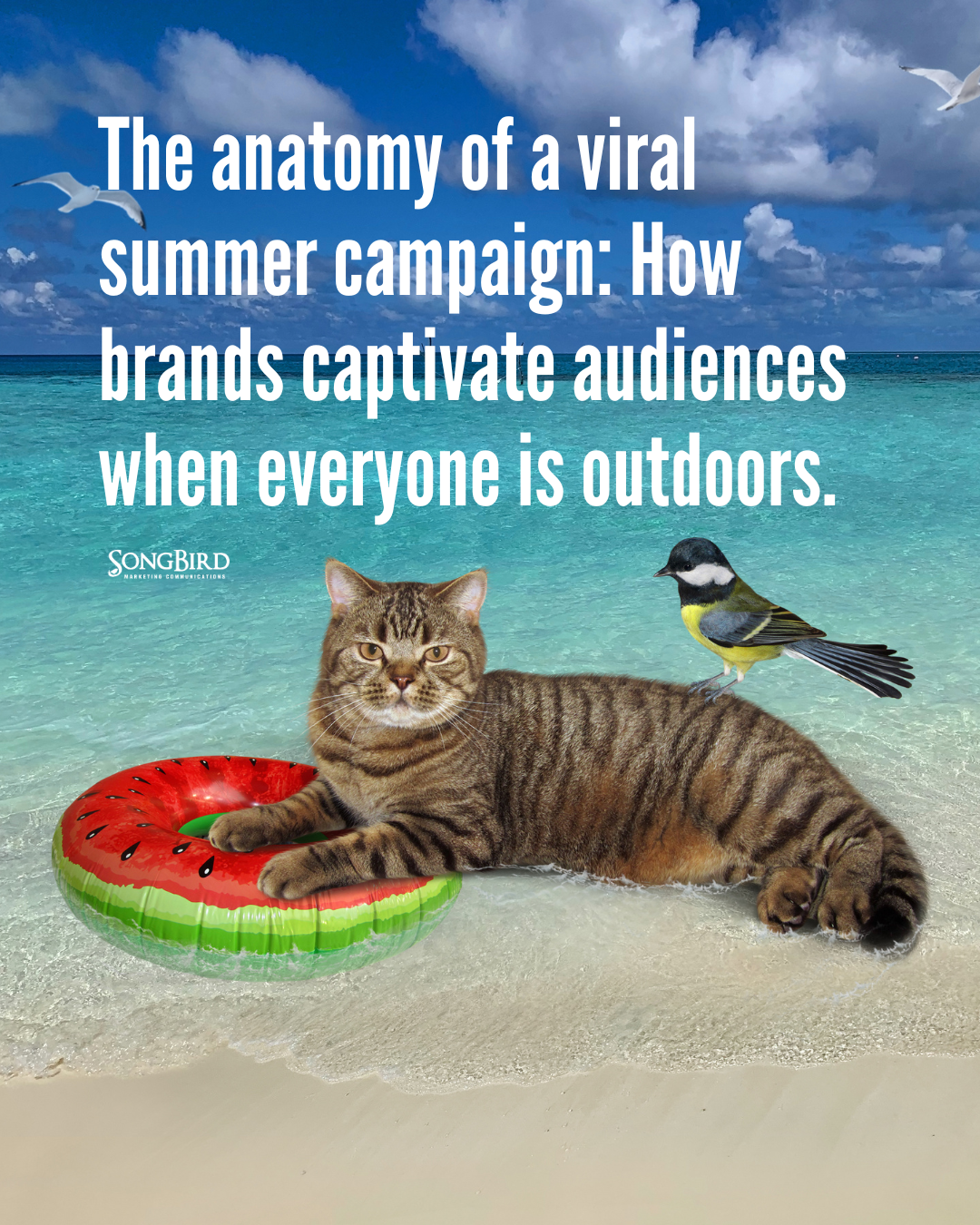 The anatomy of a viral summer campaign: How brands captivate audiences when everyone is outdoors