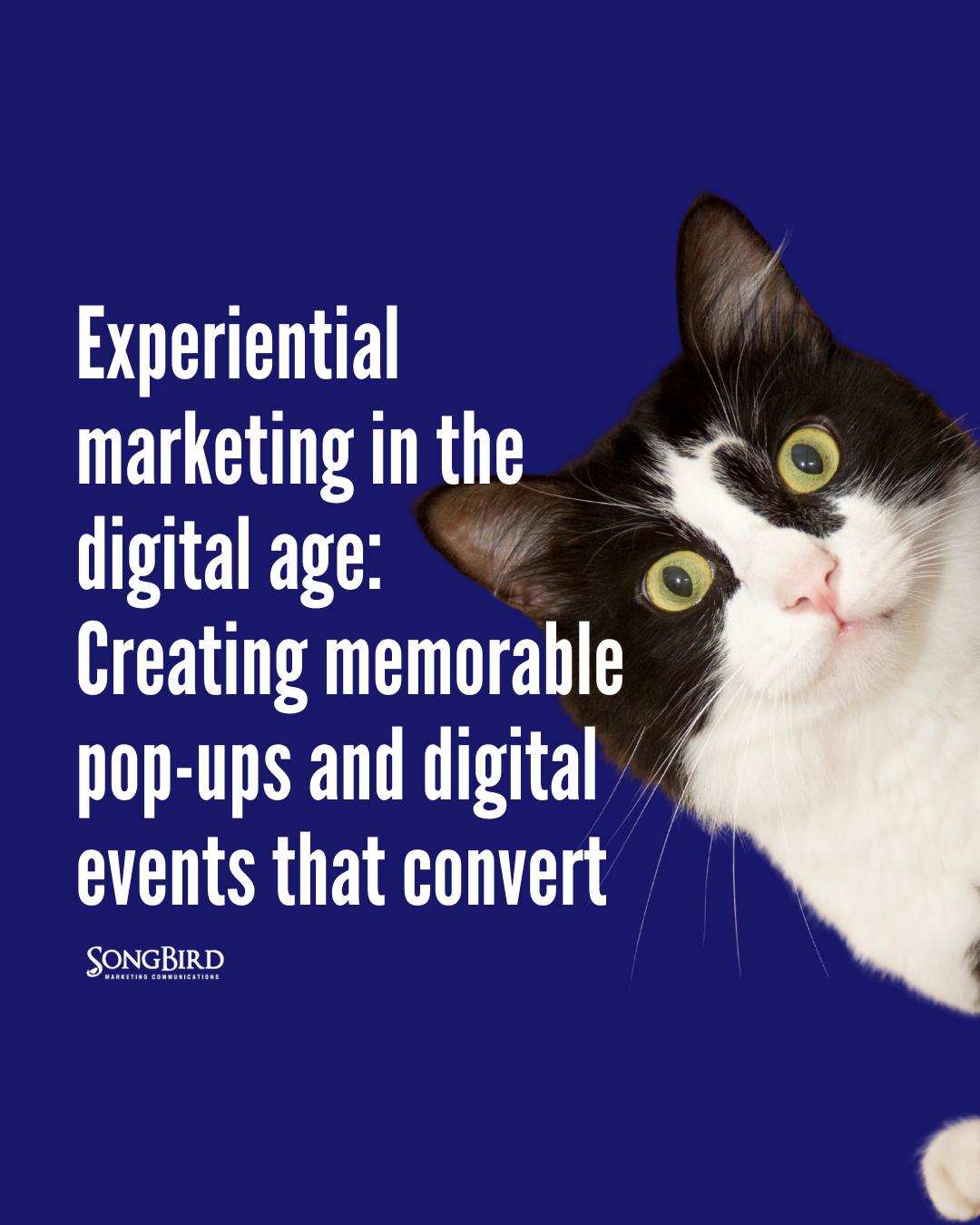 Experiential marketing in the digital age: Creating memorable pop-ups and digital events that convert