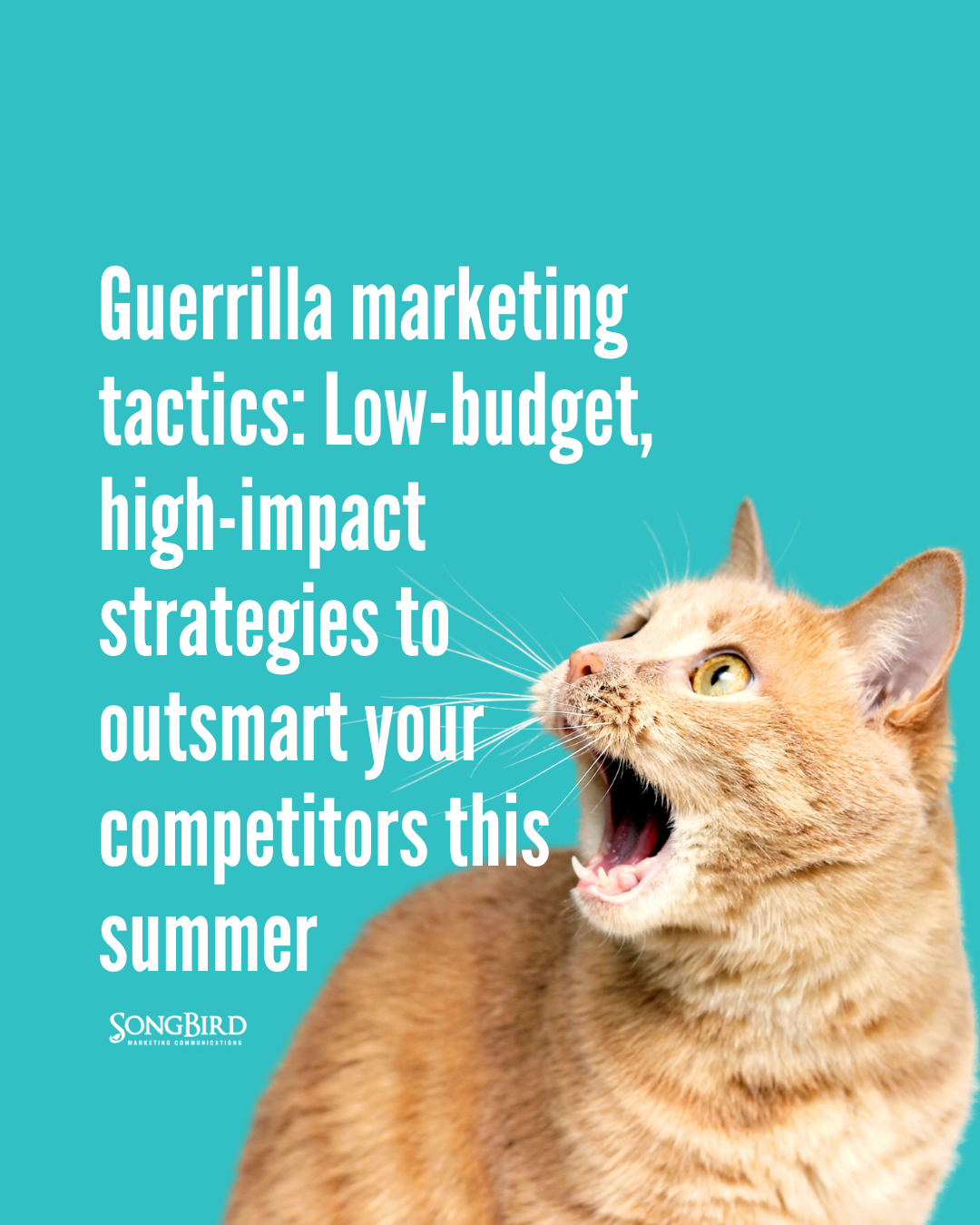 Guerrilla marketing tactics: Low-budget, high-impact strategies to outsmart your competitors this summer