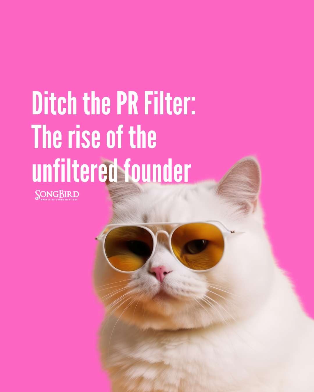 Ditch the PR Filter: The rise of the unfiltered founder