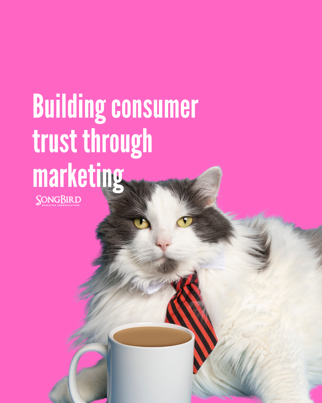 Building consumer trust through marketing&nbsp;