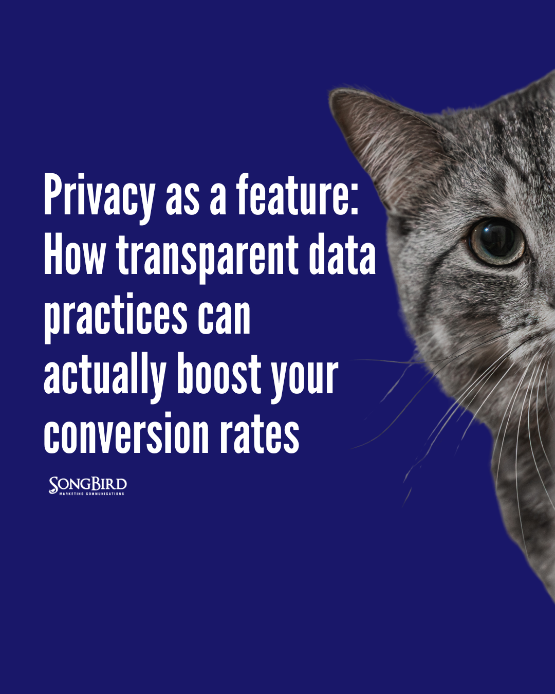 Privacy as a feature: How transparent data practices can actually boost your conversion rates.