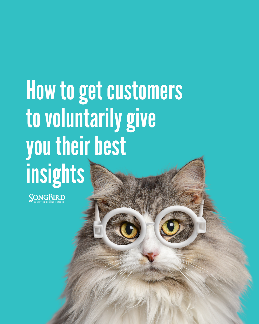 How to get customers to voluntarily give you their best insights