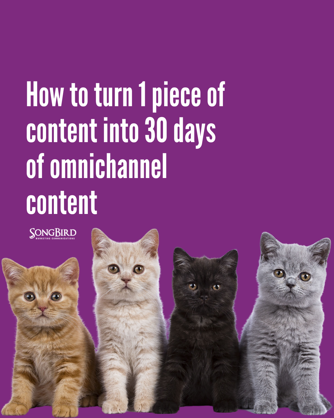 Repurposing content: How to turn 1 piece of content into 30 days of omnichannel content.