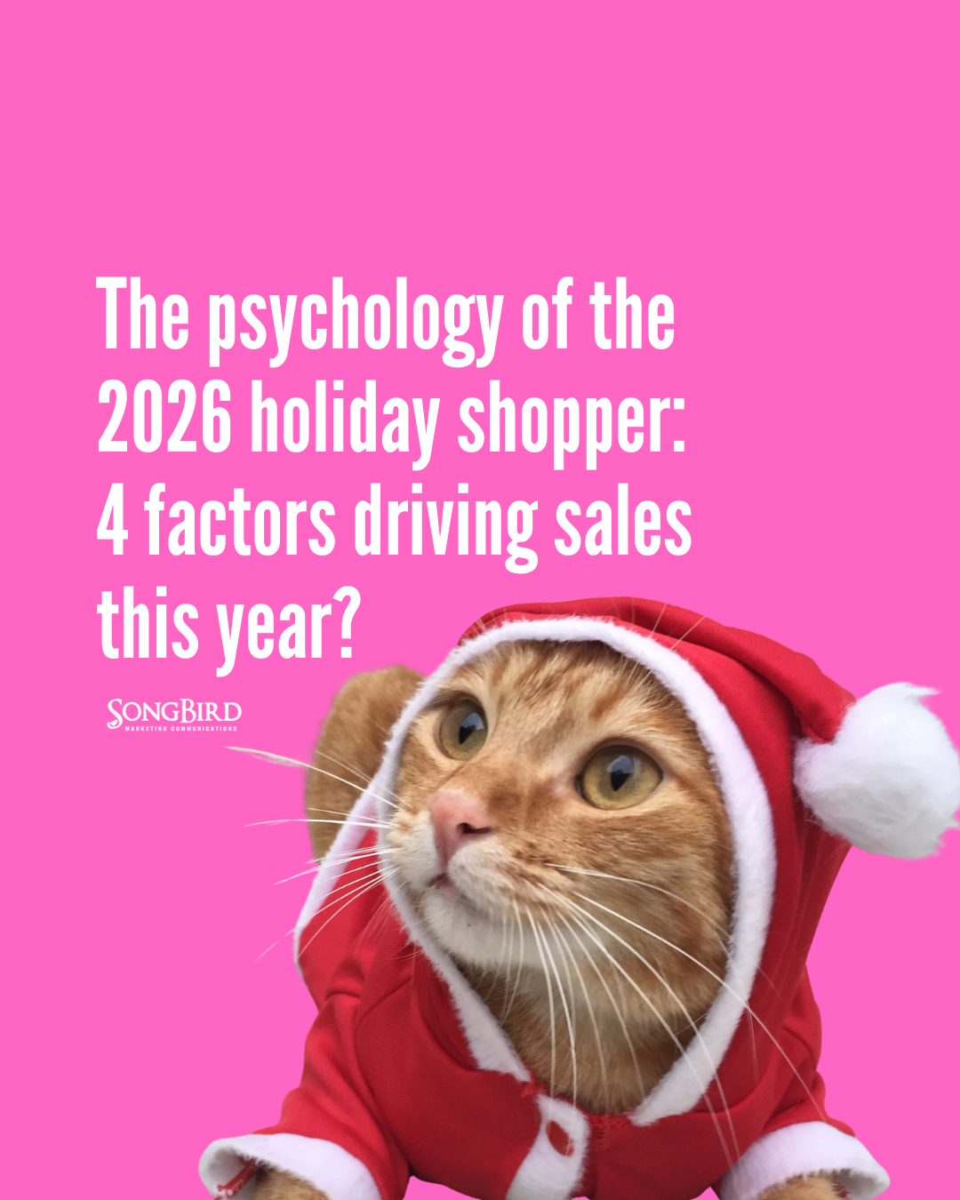 The psychology of the 2026 holiday shopper: 4 factors driving sales this year?