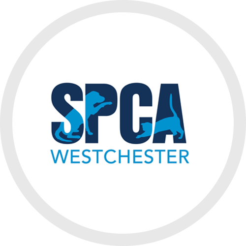 SPCA Westchester