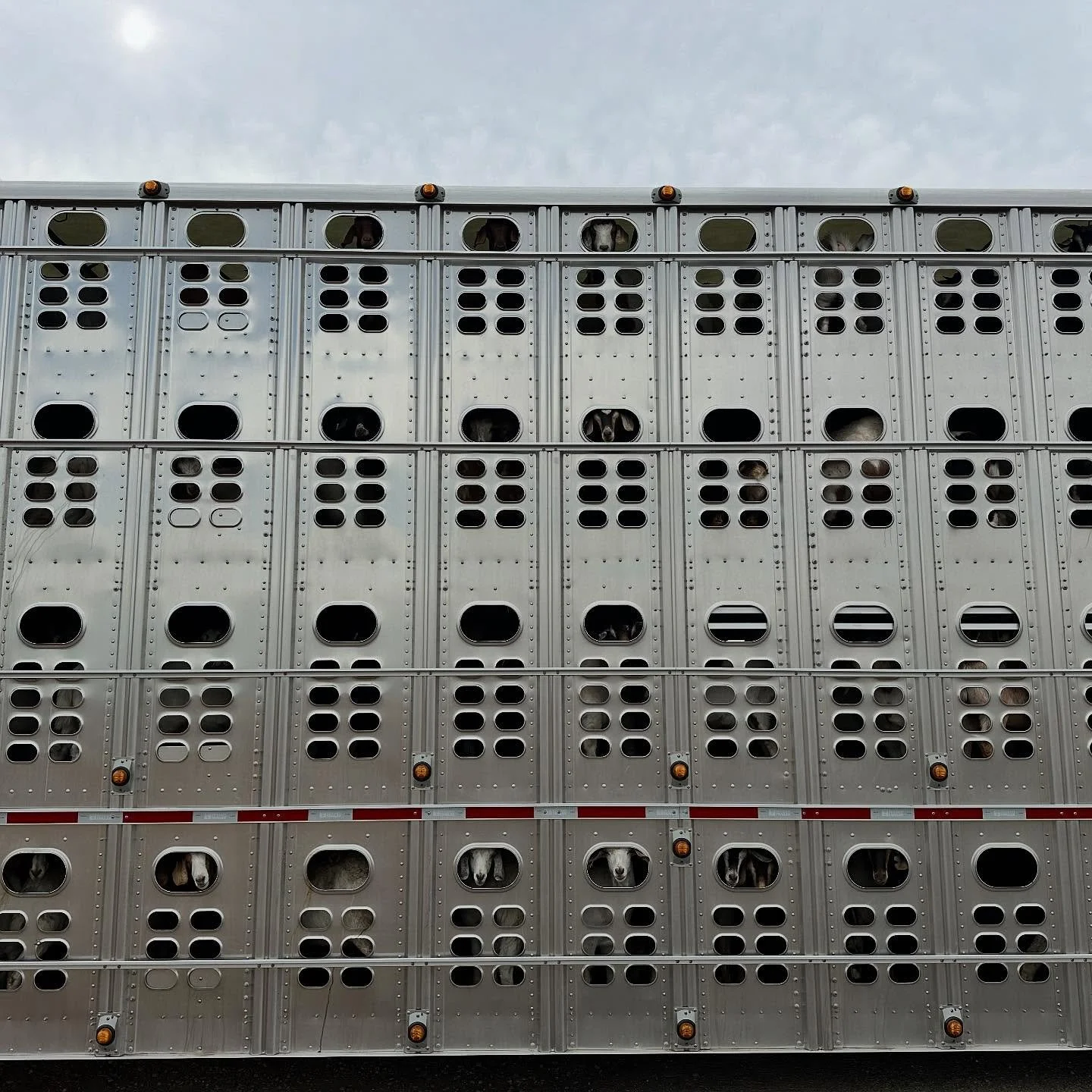 New kids on the block!