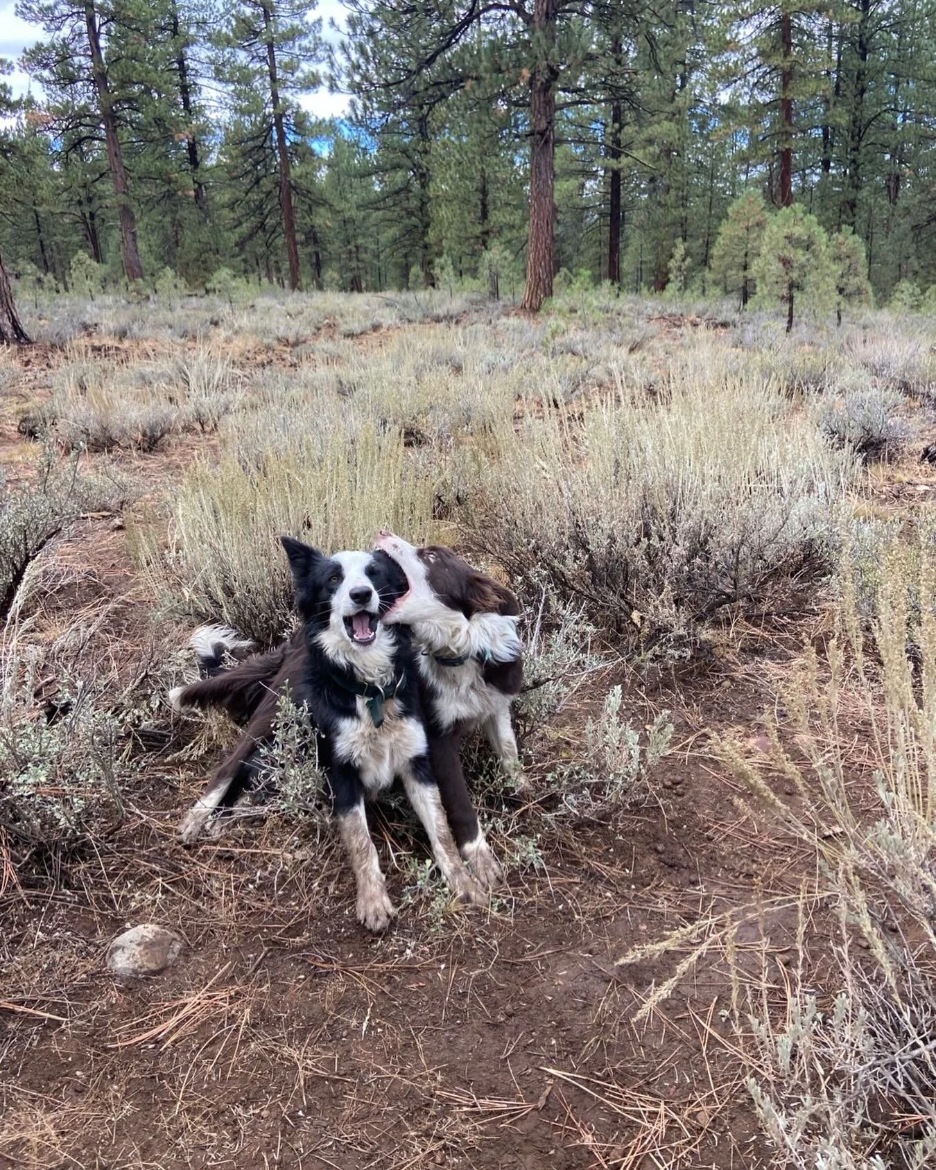 Moments before the chaos