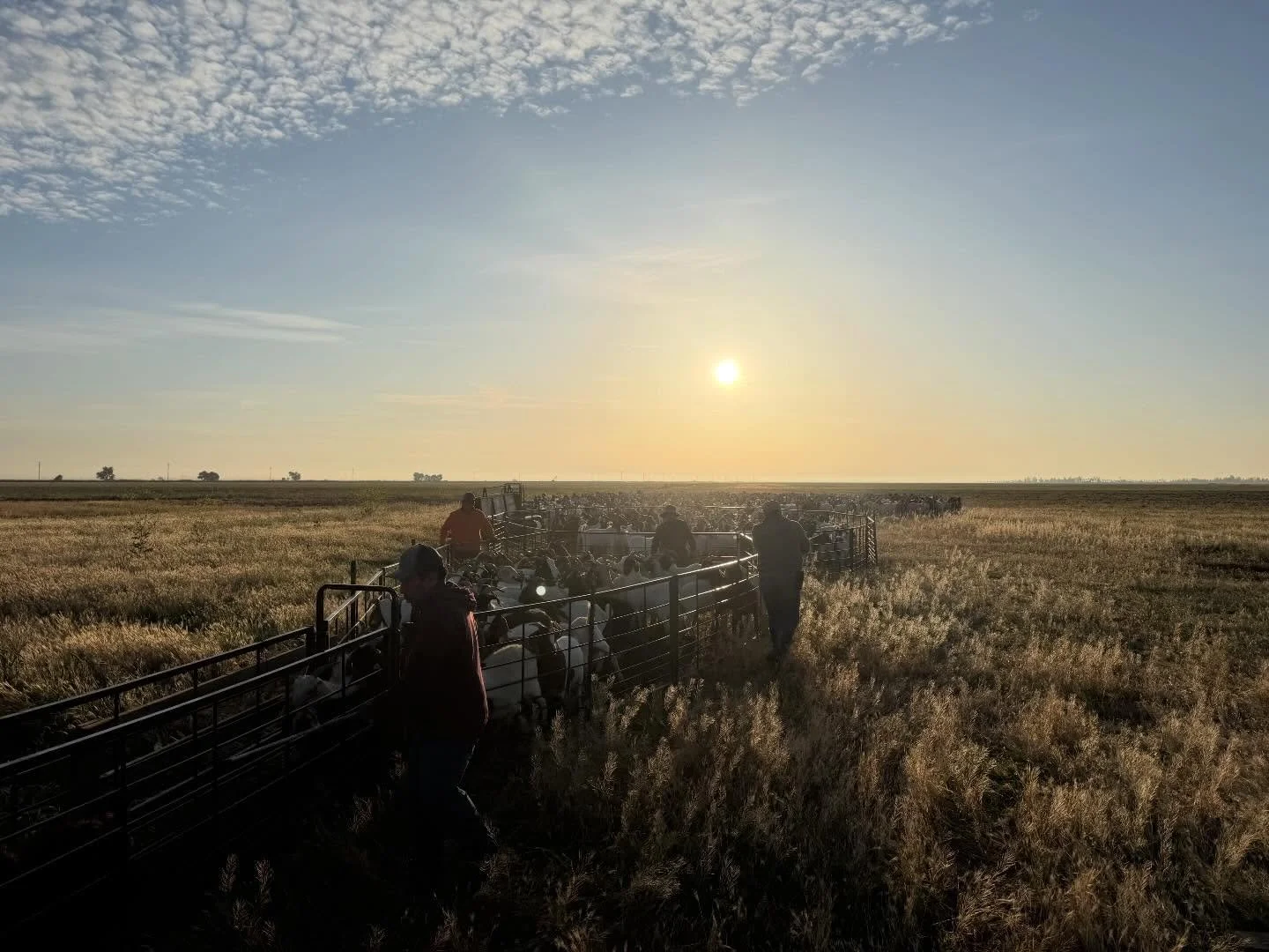 Rock&rsquo;n &amp; roll&rsquo;n!