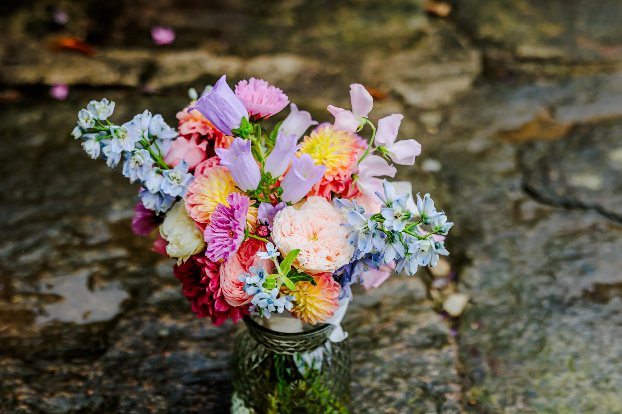 Photographe perros guirrec