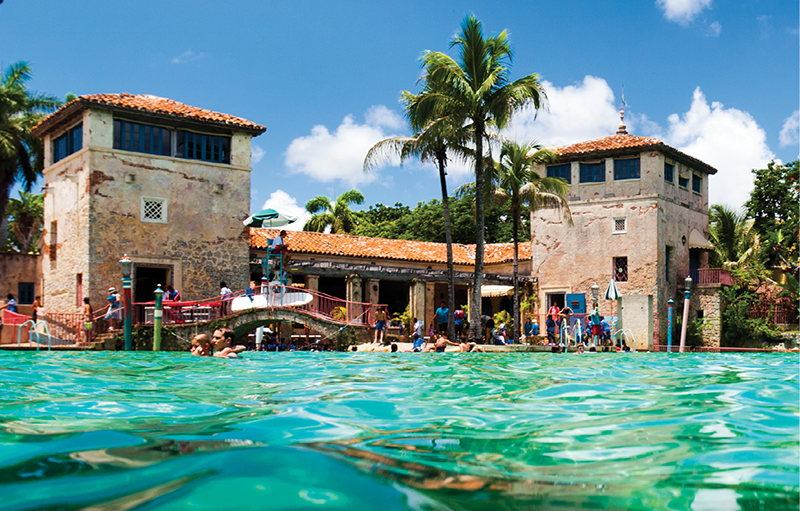 Venetian Pool Restoration