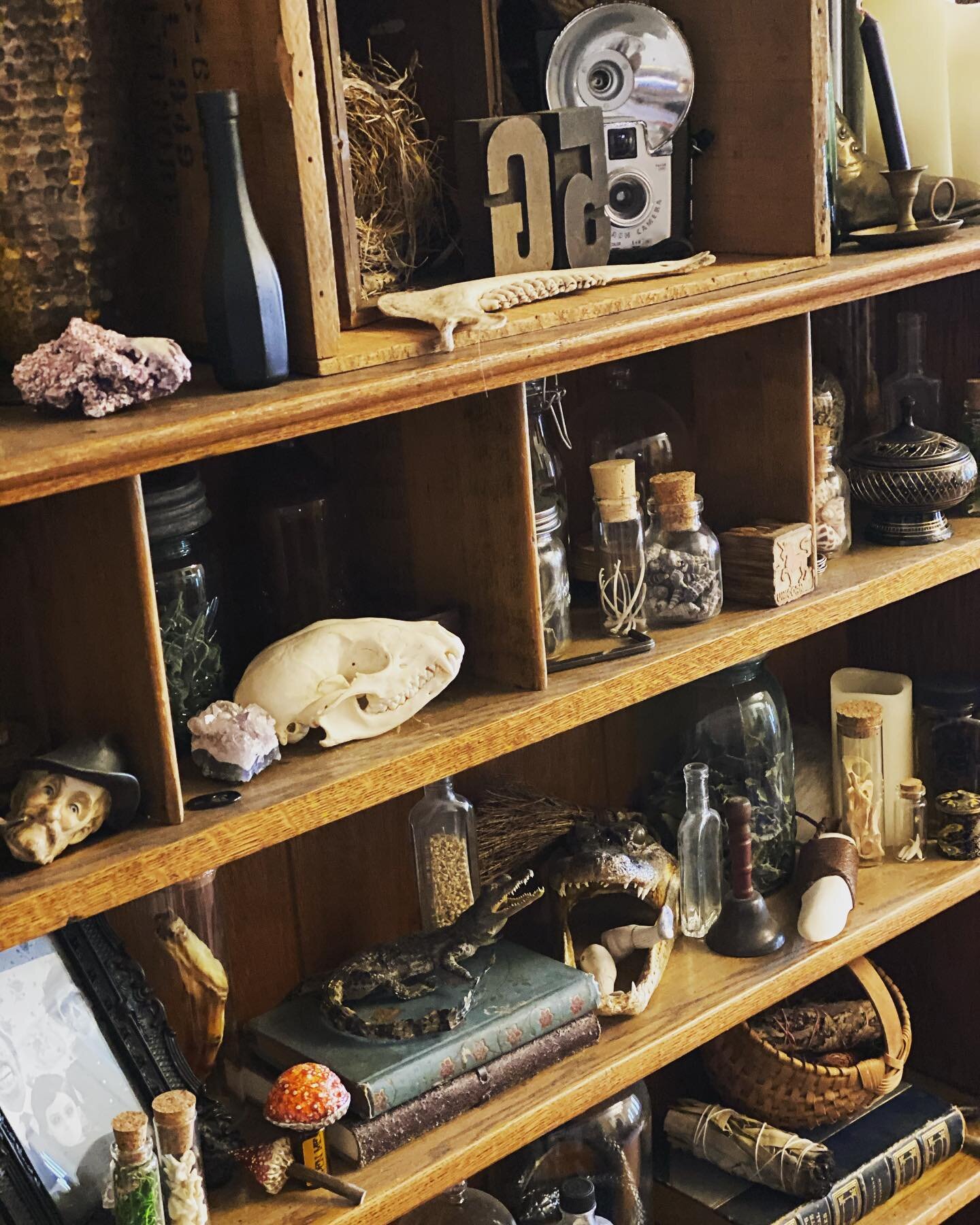 I have a fairly large case of curiosities at my home in addition to several cabinets and letterpress displays (I&rsquo;m a bit of a curiosity hoarder). With that said... I am slowly noticing my husband&rsquo;s contributions to the displays. Several h
