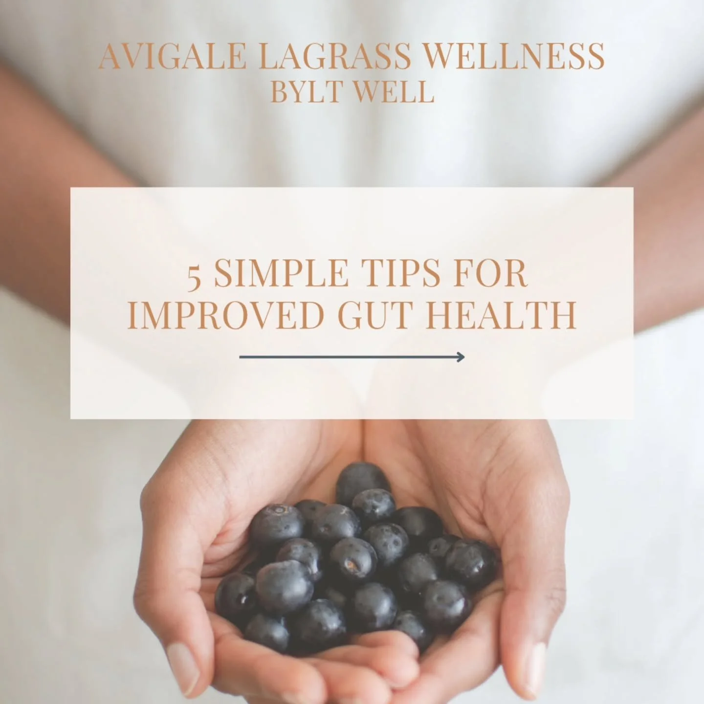 Gut Health is the New Glow Up!&nbsp;
Your wellness journey starts from the inside out &mdash; and your gut is the gateway. At&nbsp;Bylt Well with Avigale LaGrass, we believe in keeping it simple, sustainable, and supportive. 💫

Here are&nbsp;5 easy 