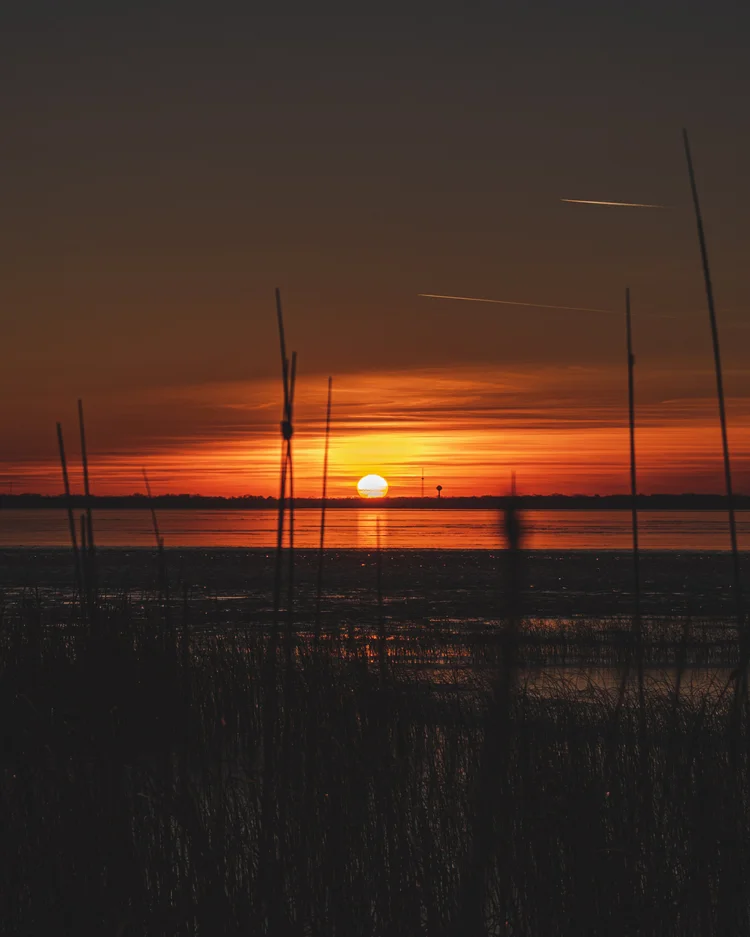 New London Real Estate