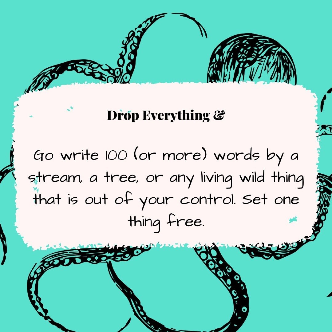 Writing prompt featuring an octopus: This week's writing prompt: Drop Everything and...Go write 100 (or more) words by a stream, a tree, or any living wild thing that is out of your control. Set one thing free.