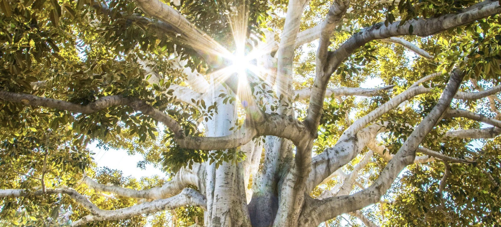 Uncover Your Truth | EQ Workshop