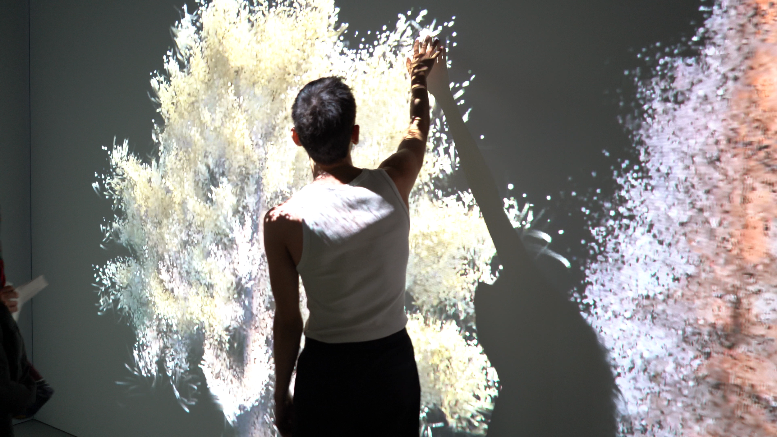 C0013.MP4.05_48_16_02.Still001.png