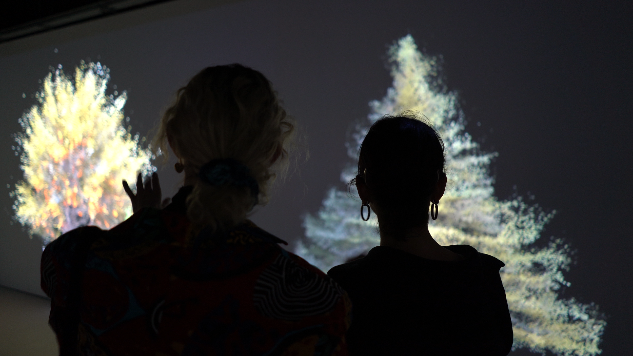C0011.MP4.05_47_21_16.Still001.png