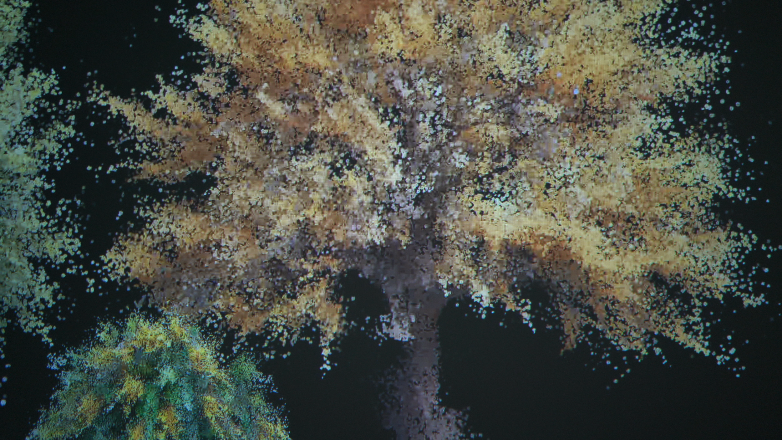 C0197.MP4.05_07_15_17.Still001.png