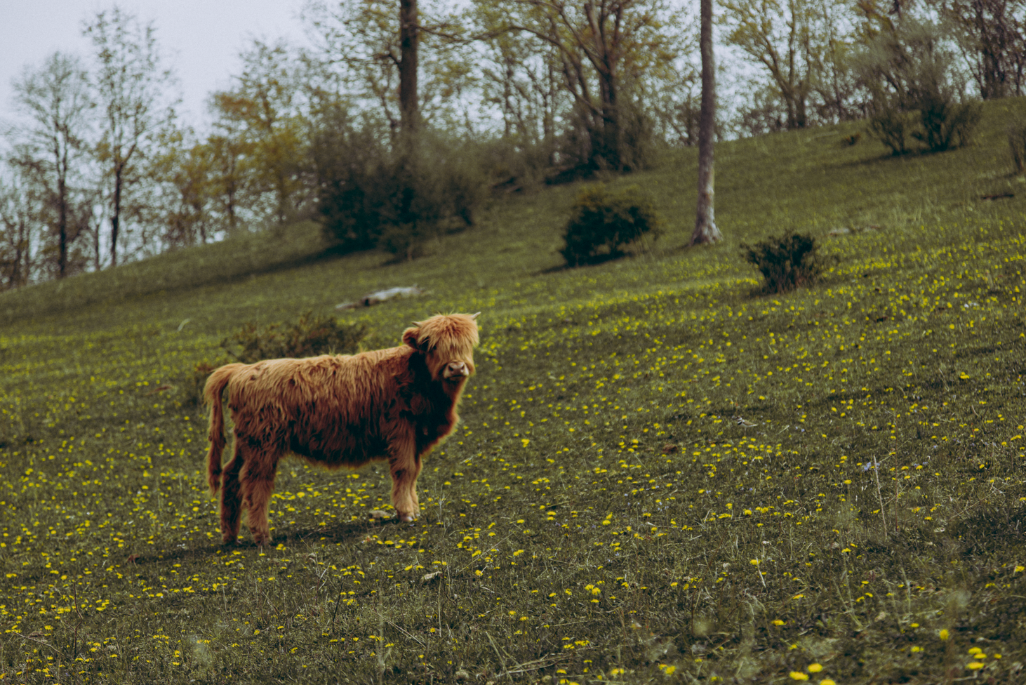 kara_michael details 2.png