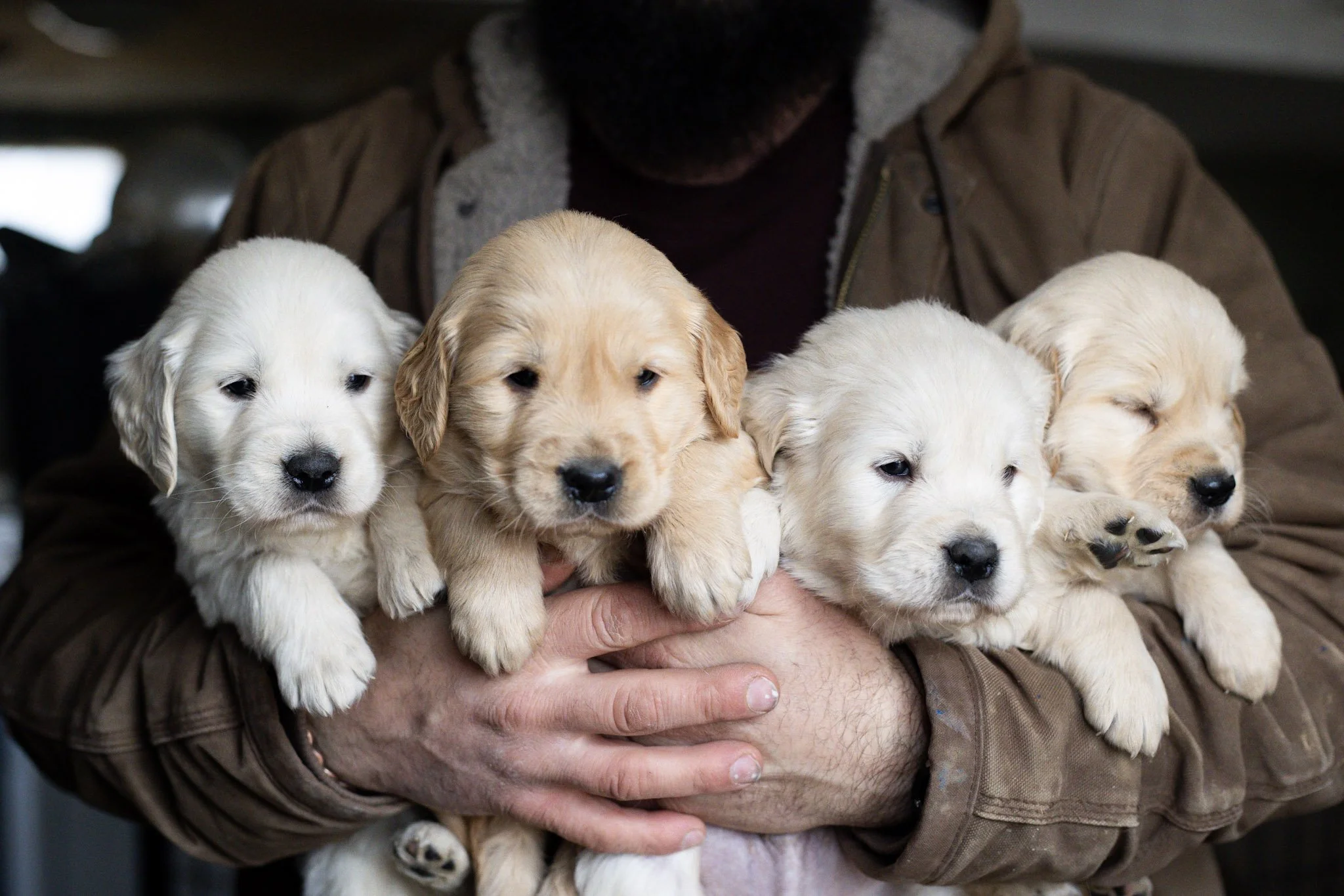 How Dogs Make Children Healthier – And the Science Behind It
