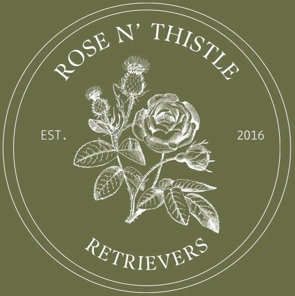 Rose n' Thistle Retrievers