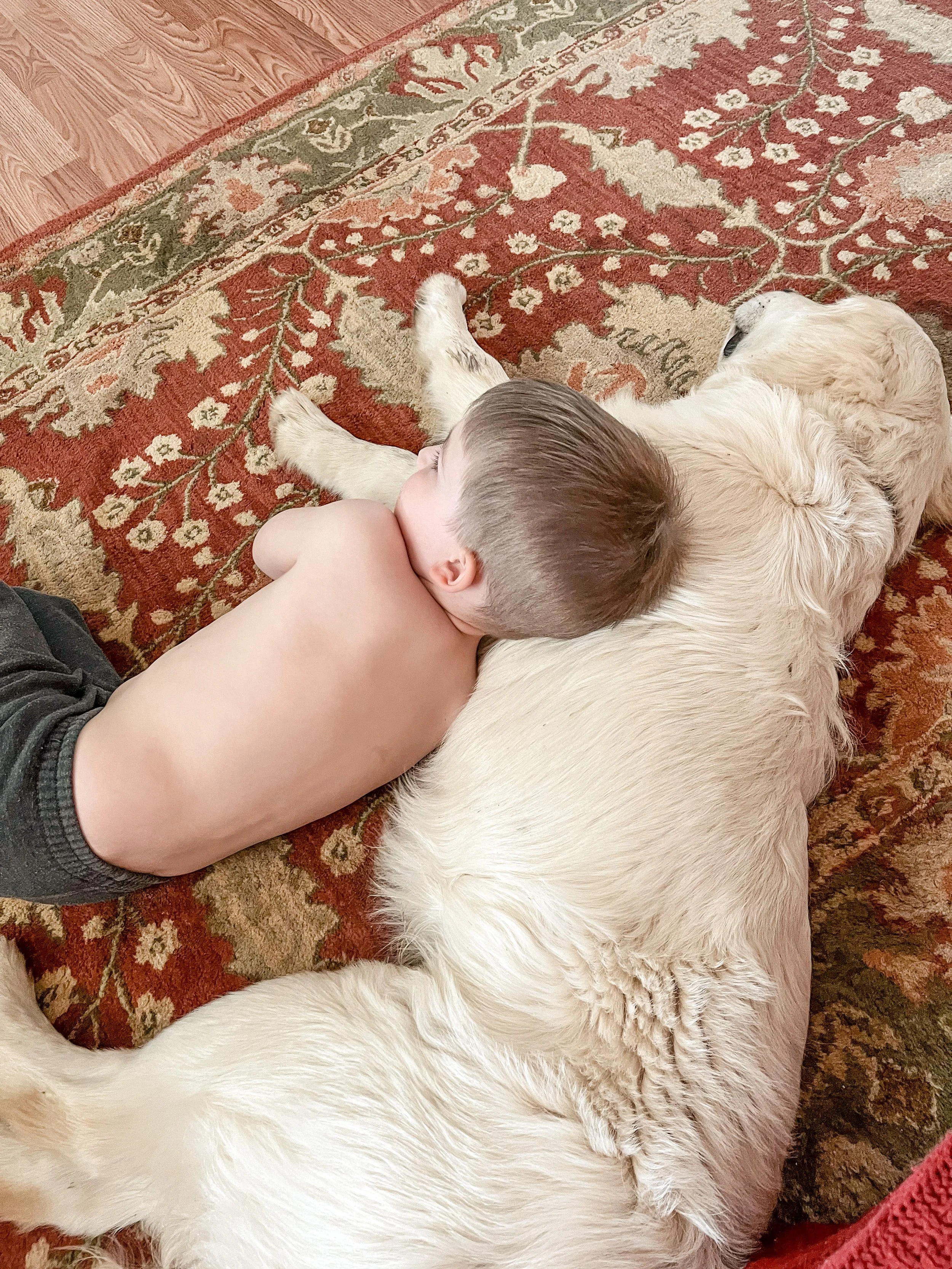 little boy laying on the flour with a golden retriever