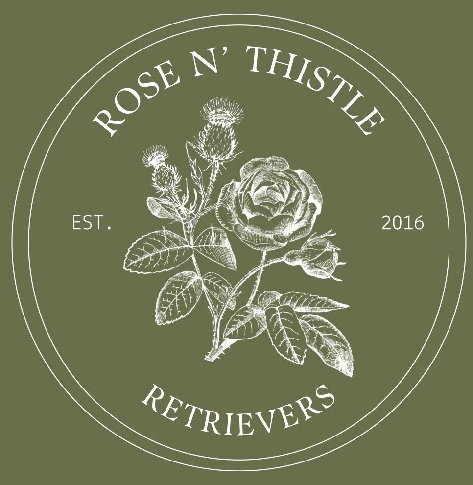 Rose n' Thistle Retrievers