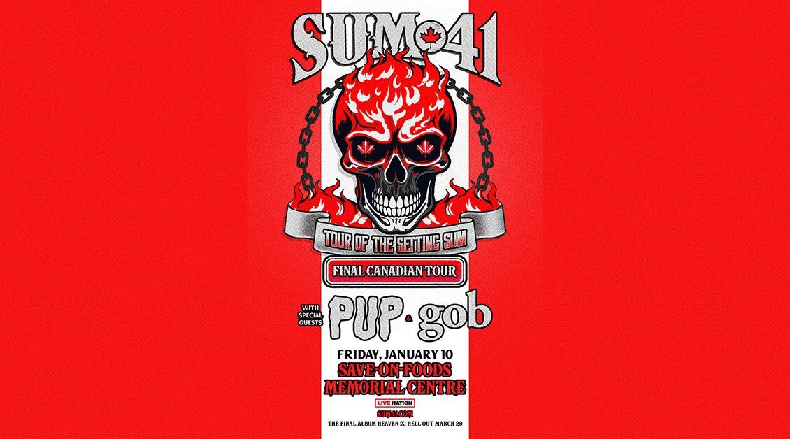 Sum 41 Concert Experience in 2025