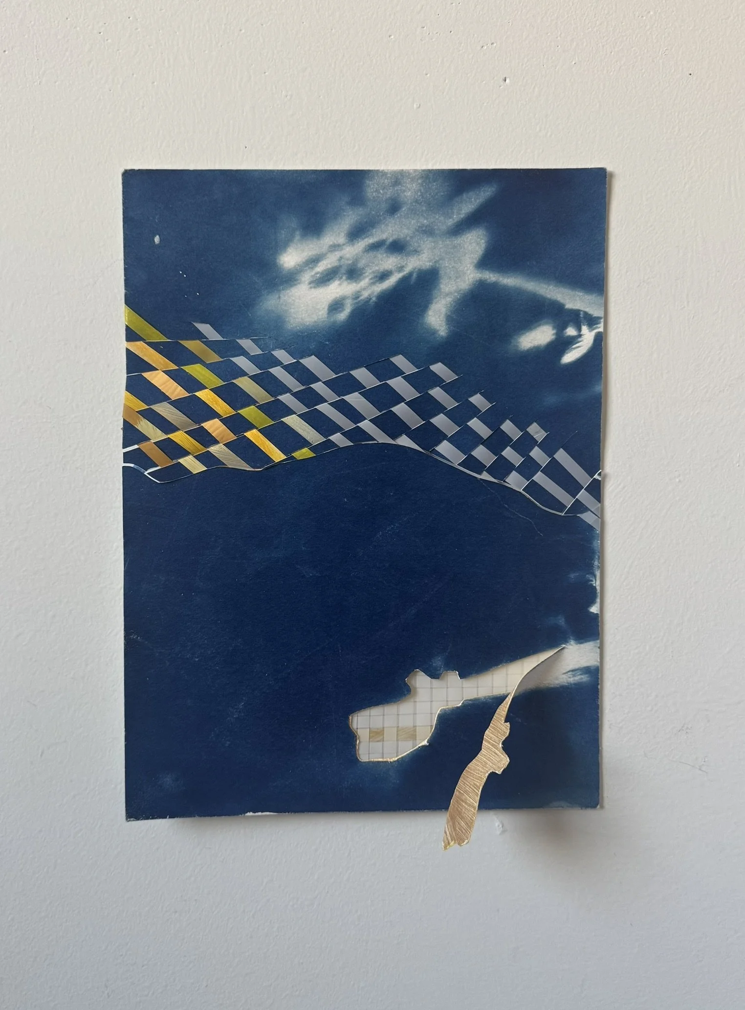 Kate Farrall 2026 cyanotype mixed media