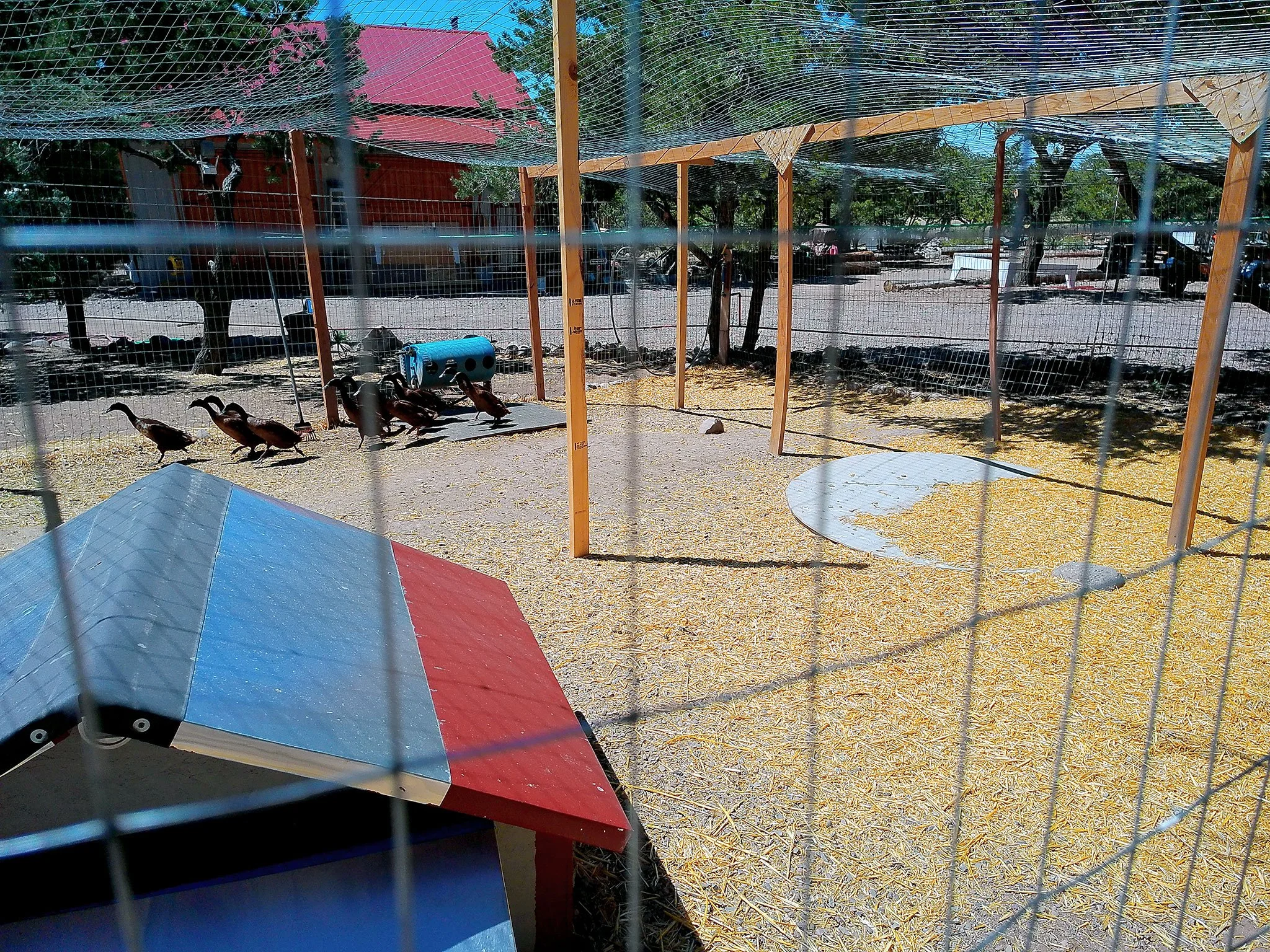 DSCF0514.jpg