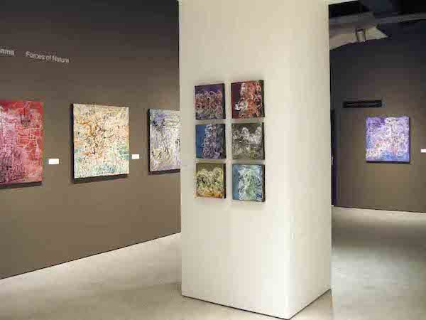 Art Gallery of Windsor- Shirley Williams exhibit