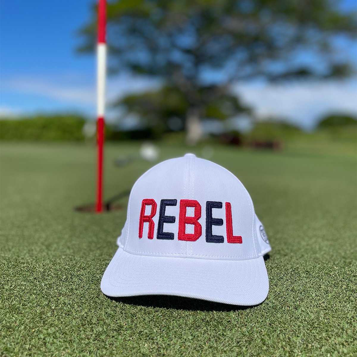 SwingRebel_0001_IMG_3004.jpg