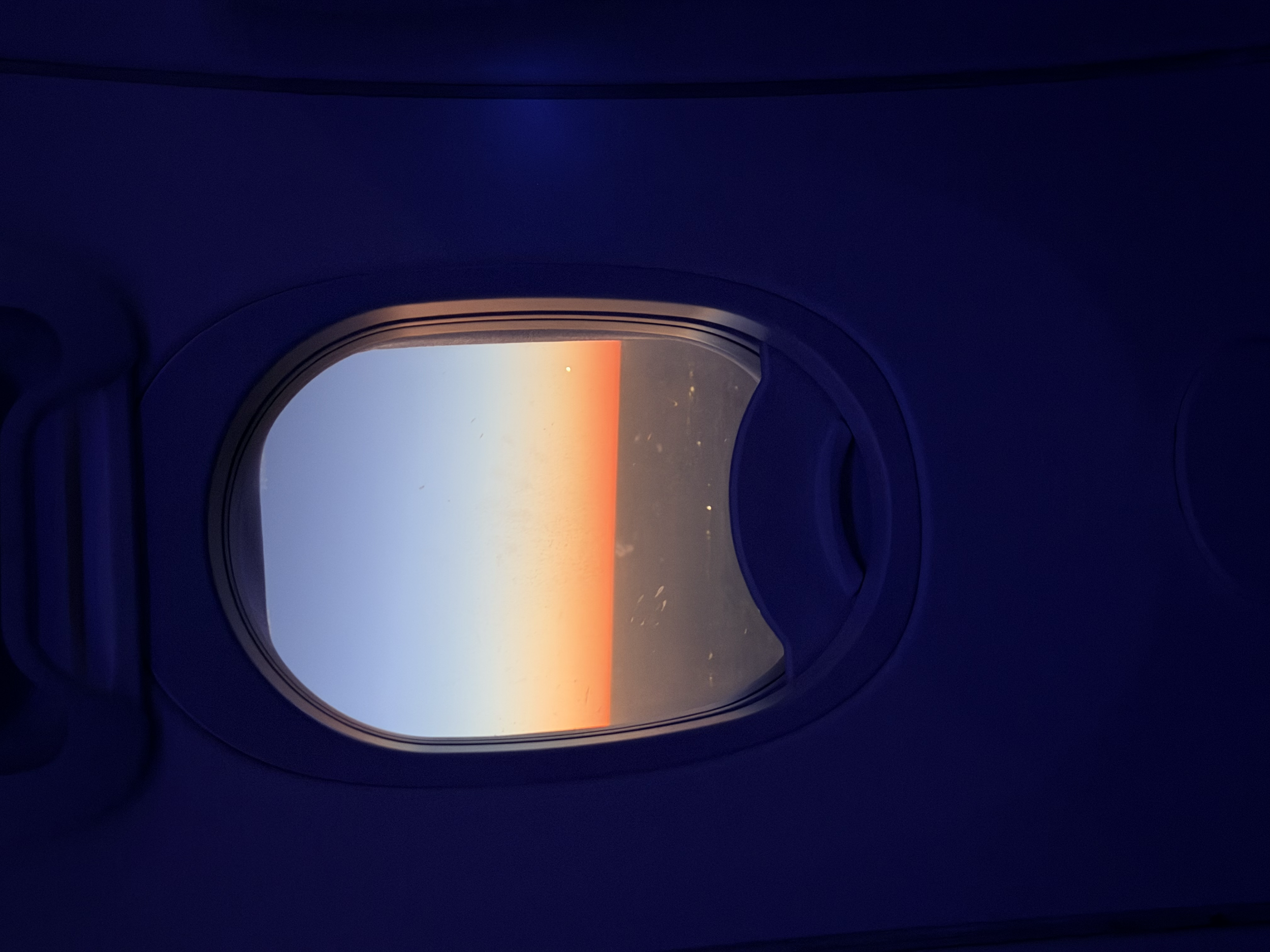 tempImageP4yRXv.png
